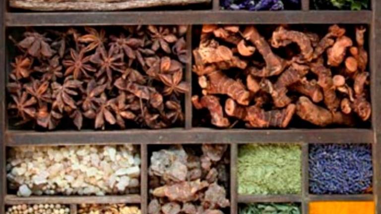 VeNetWork prevzel družbo Bauer