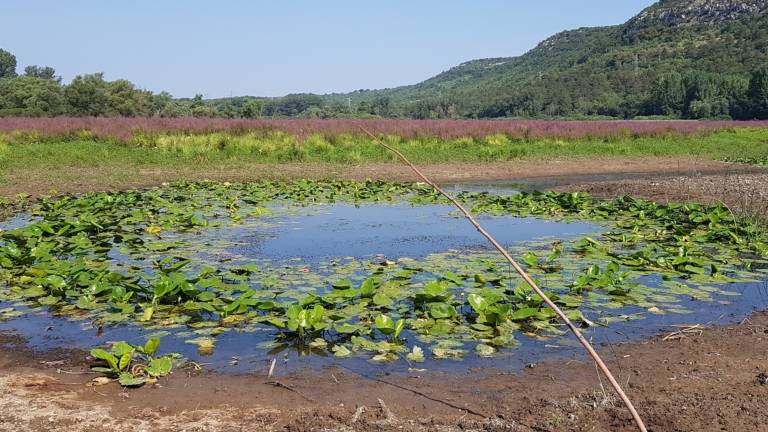 Iz podzemlja vse manj vode