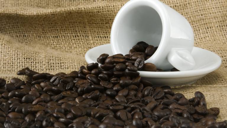 Kava protagonistka sejma Triestespresso Expo