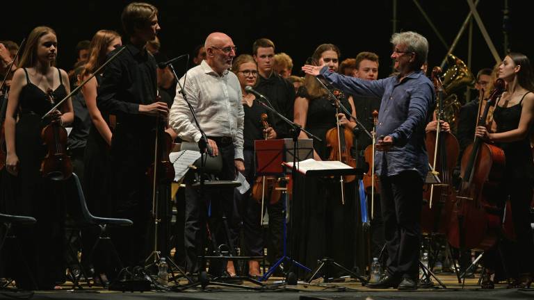 Orkester kot prispodoba sožitja