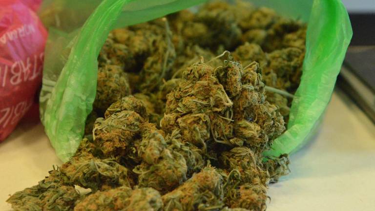 Avgusta policisti zasegli 45 kilogramov marihuane