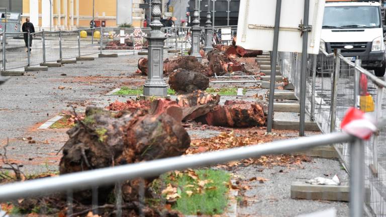 Namesto platan bodo stali avtobusi