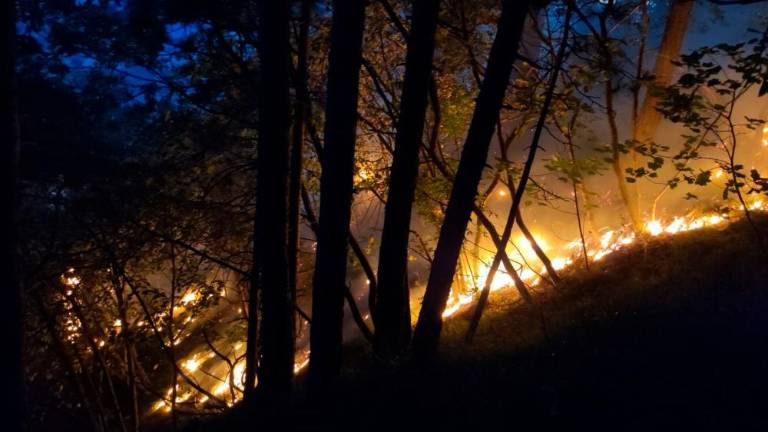 Pri Kočevski Reki ponovno zagorelo