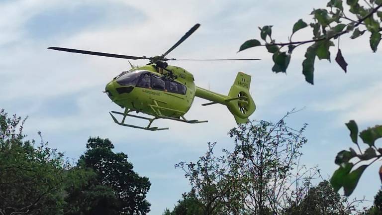 Med sečnjo utrpel pretres možganov