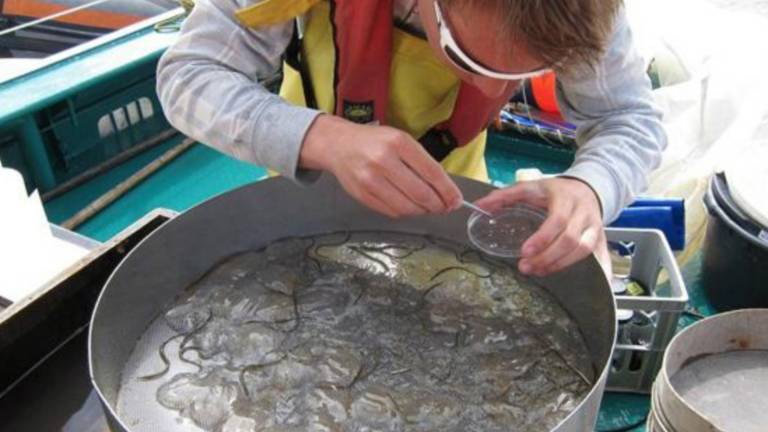 Z Exploro nad sluzaste rebrače