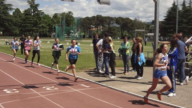 Gori&scaron;ke dijake opazoval Massi