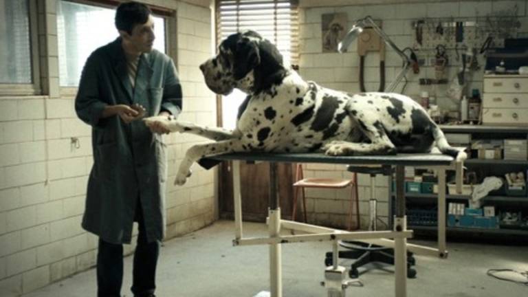 Začenja se festival Amidei