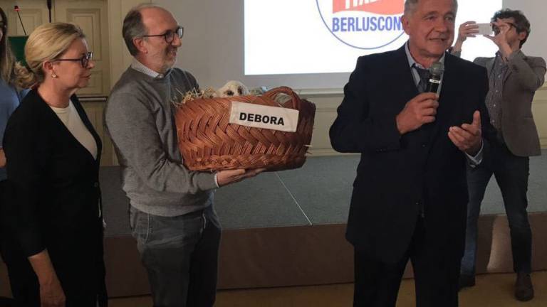 Camber in jagnje Debora