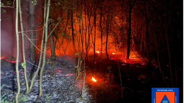 Pri Tržiču še niso popolnoma ukrotili zubljev