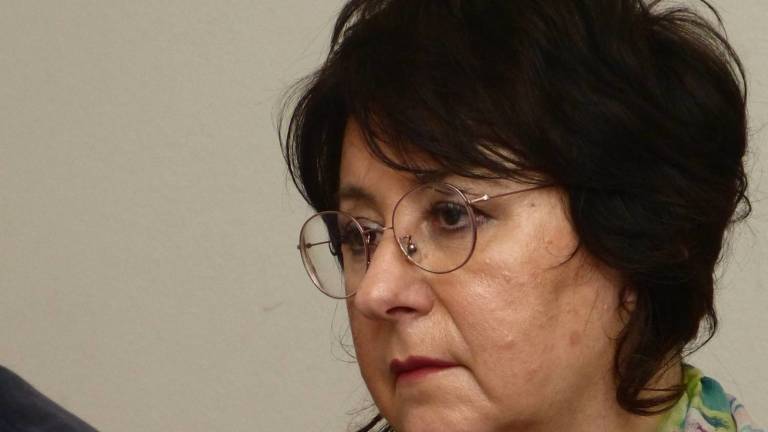 &raquo;Za predstavni&scaron;tvo je bistveno, kaj dela&laquo;
