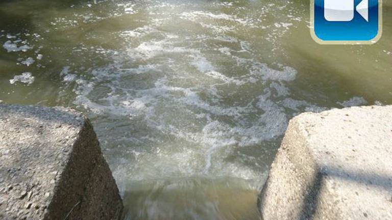 Koren že predolgo ni potok ...