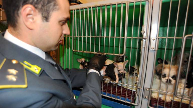 Zasegli &scaron;e 209 mladičev!