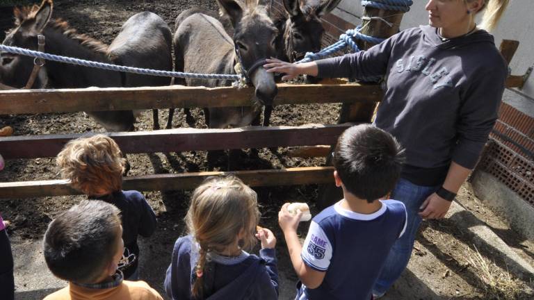 Čas &scaron;olskih počitnic zna biti pravi organizacijski podvig