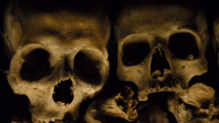 Že &scaron;tiri stoletja skrivnostna rodbina i&scaron;če zakleto lobanjo