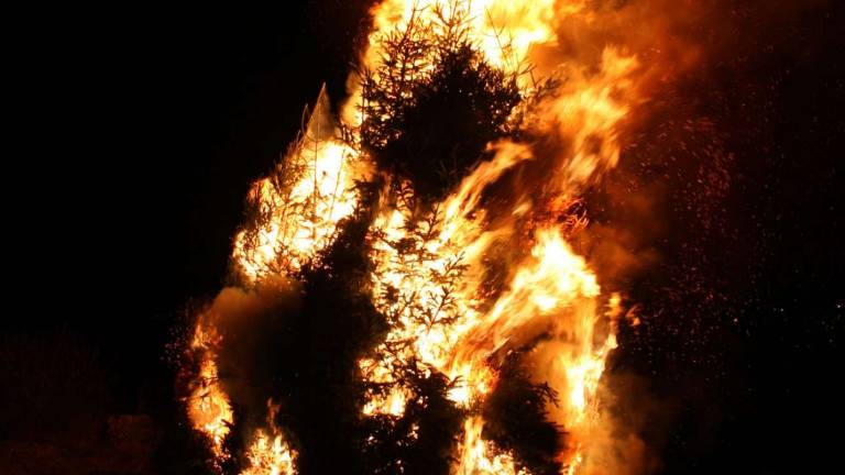&raquo;Seima&laquo; brez jasnega odgovora