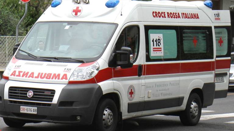 Pristala na strehi