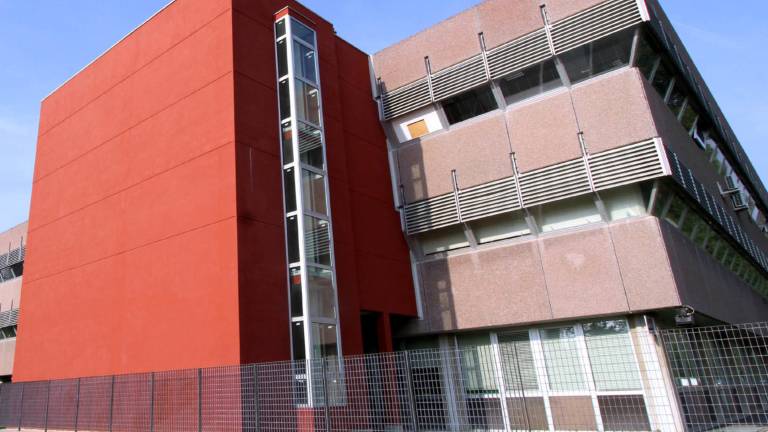 Na Gori&scaron;kem nara&scaron;ča &scaron;tevilo darovalcev organov