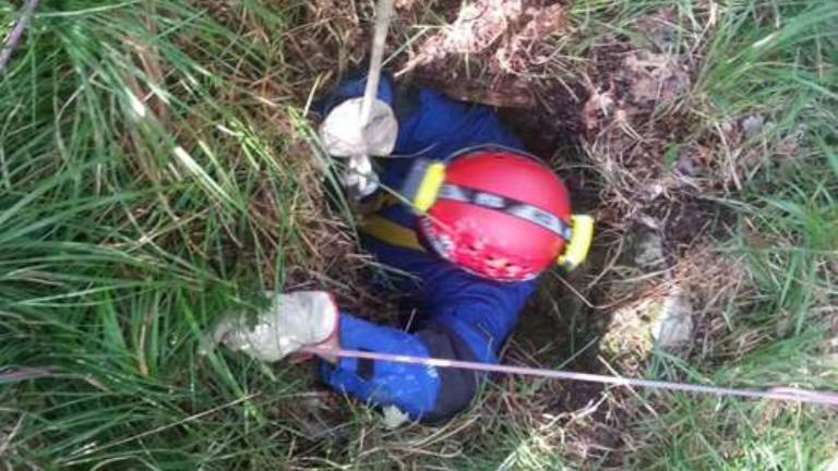 Iz brezna re&scaron;ili psičko