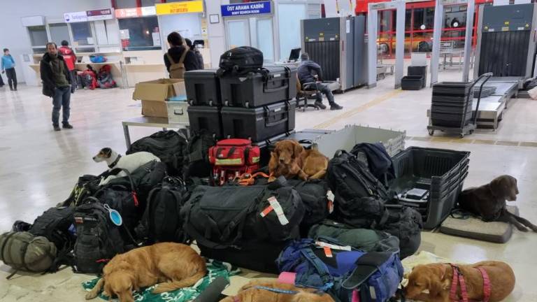 Preživele v potresu iskali tudi reševalni psi iz Slovenije