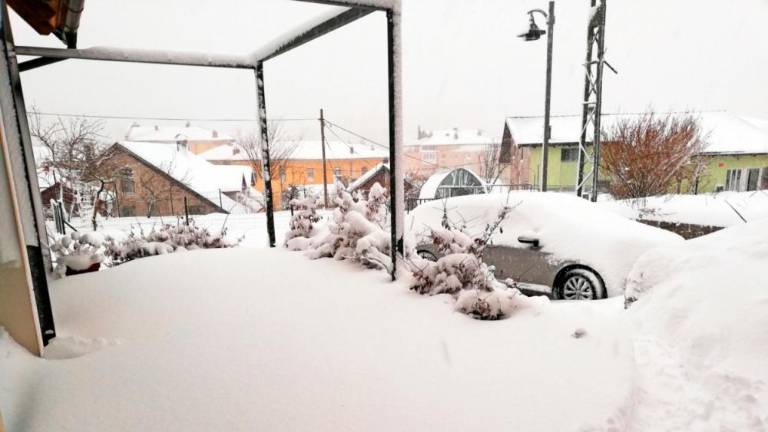 Na Primorskem zaradi močne burje 1200 gospodinjstev brez elektrike