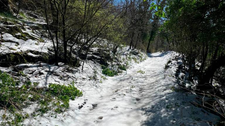 Po toči in snegu marsikje zimsko jutro