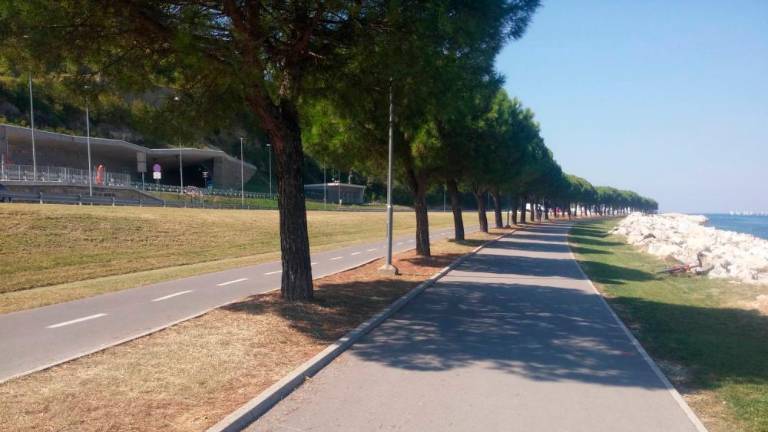 Motokrosist na sprehajalni poti hudo poškodoval kolesarja in zbežal