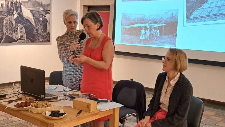 Slive so lupile tudi »čeče« iz Benečije