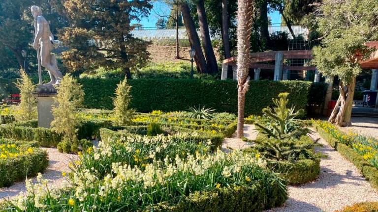 V park vabi 80.000 narcis