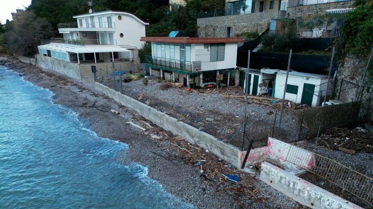 Sprehod po opustošeni kriški obali