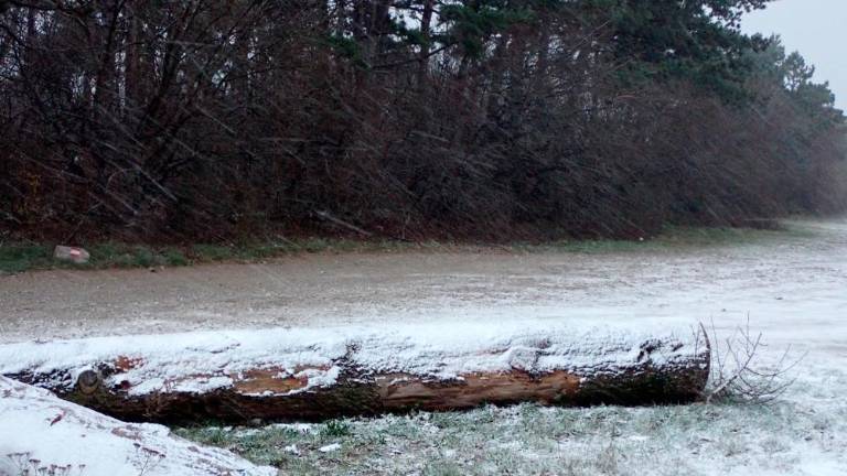 Vremenski opozorili zaradi močne burje in snega