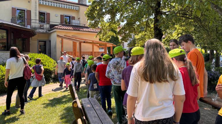 Nabirali zelišča in pekli palačinke