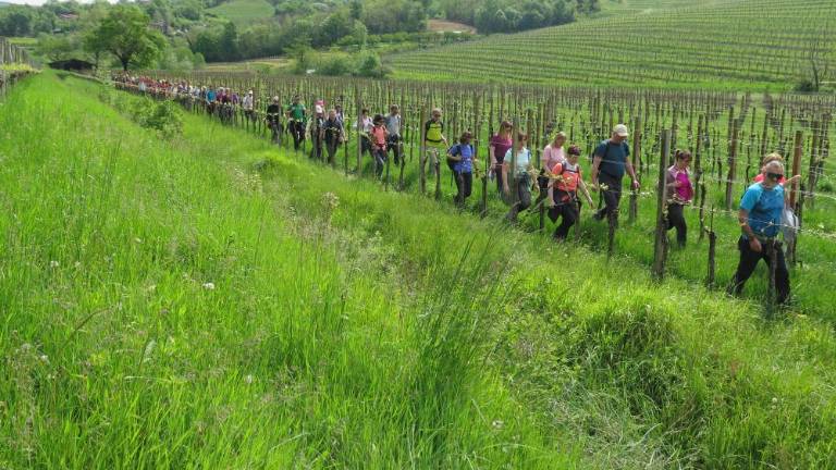 Pohod ob prvem maju povezal Brda