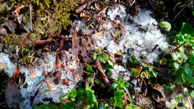 Sinoči ponekod sodra, danes in jutri še nestanovitno