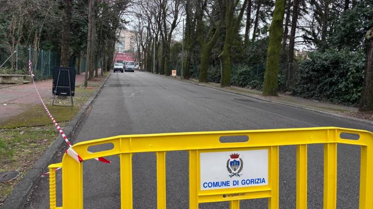 Drevored Oriani bo tudi v ponedeljek popolnoma zaprt