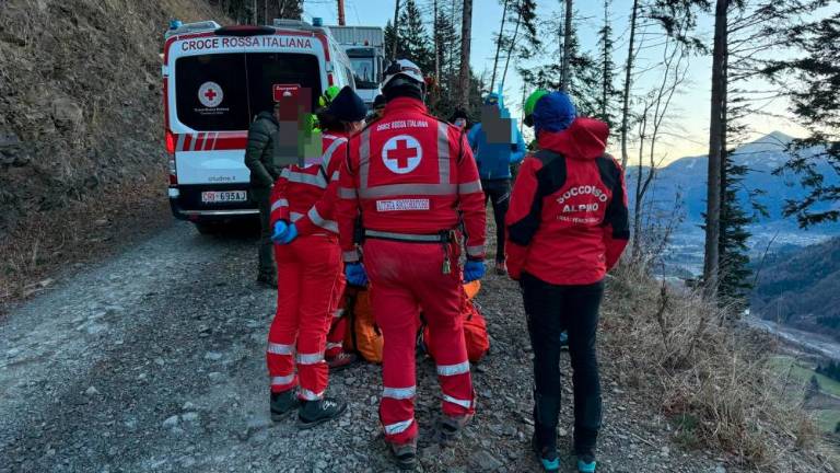 V Karniji reševali gozdarja