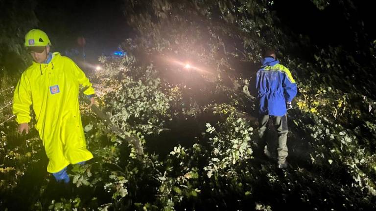 Neurje povzročilo težave tudi v doberdobski občini (video)