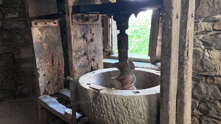 »Brez pomoči prostovoljcev, bi že naslednjega dne vrgel puško v koruzo«