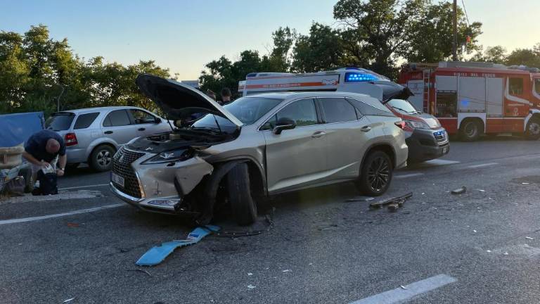 V prometni nesreči poškodovana voznika in psiček