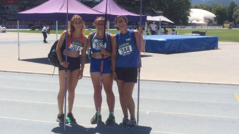 Borovka Lara Bearzi bronasta