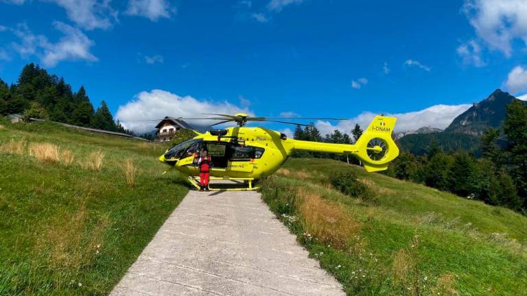 Smrtno nevarne volčje češnje zamenjali za borovnice