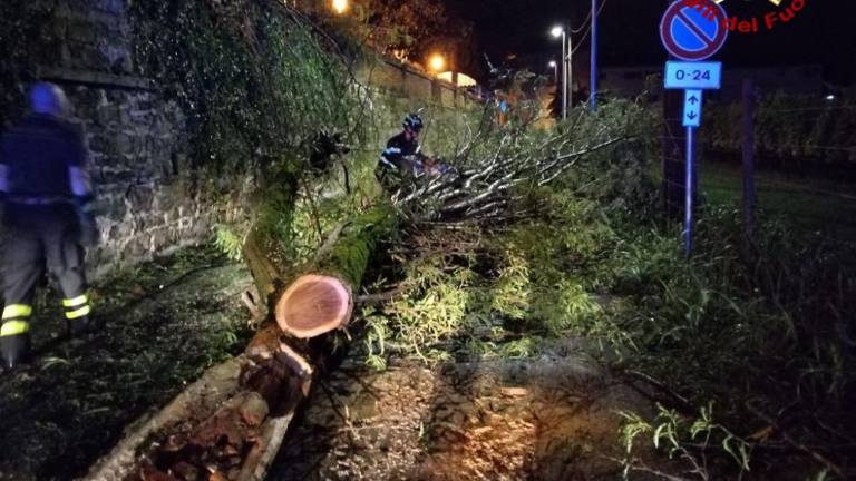 Na Goriškem ogromna škoda zaradi vremenske ujme