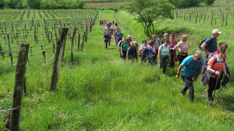 Pohod ob prvem maju povezal Brda