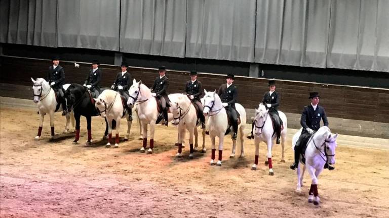 Triumfalen vstop lipicancev v svet kulture