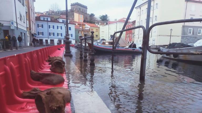 V Miljah danes uspešno preizkusili pregrade proti poplavljanju morja