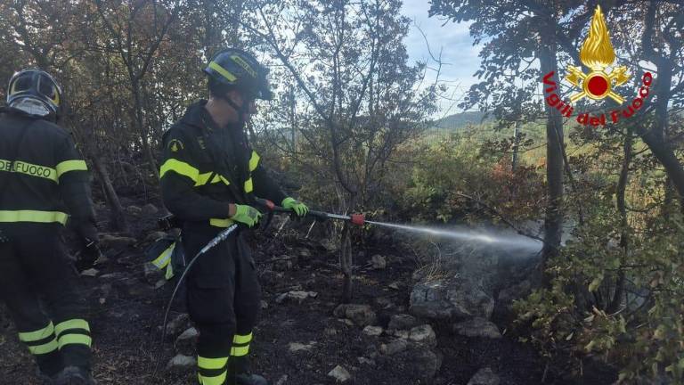 Pri Sesljanu zagorelo tudi popoldne, požar takoj pogasili