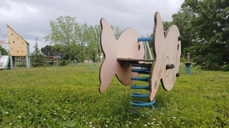 Goričane spomladi vznemirja hitro rastoča trava