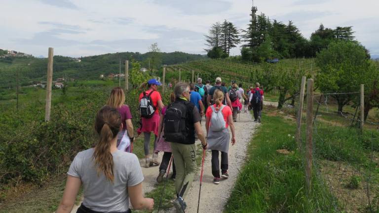 Pohod ob prvem maju povezal Brda