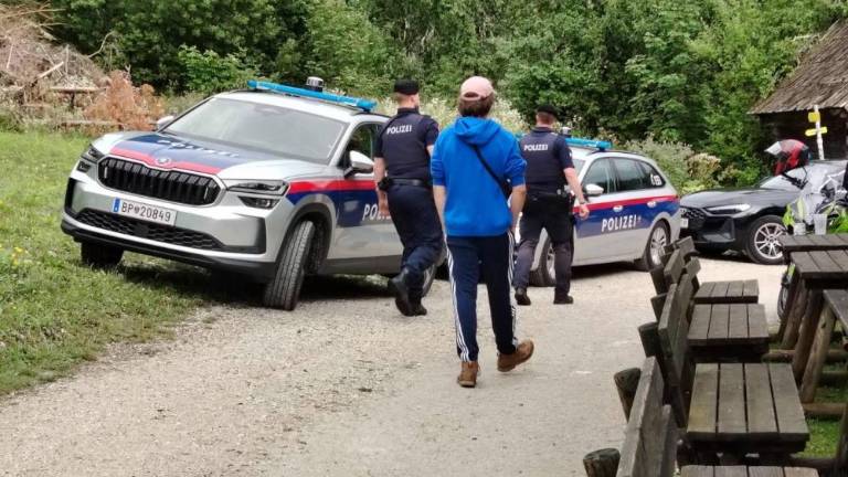 Vodjo racije na Peršmanovi domačiji začasno premestili