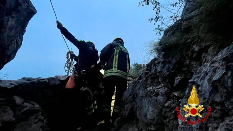 Psiček zdrsnil z Rilkejeve poti