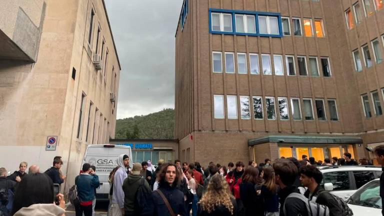 Zagorelo na tržaški univerzi